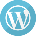 Wordpress CMS SEO